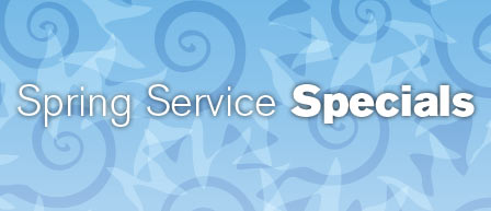 Spring Service Special