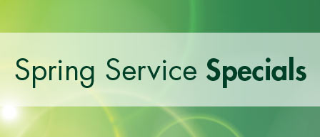 Spring Service Special